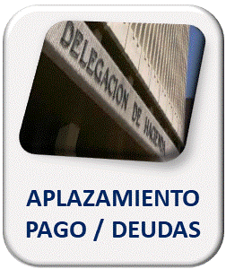 Tasaciones para fraccionar el pago en s de Hacienda/Seguridad Social  en El Perellonet